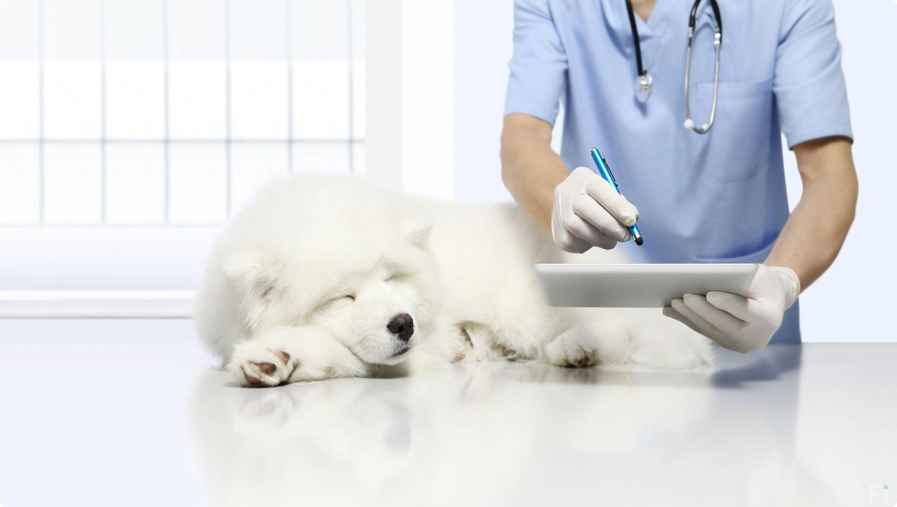 All-in-one veterinary patient engagement platform